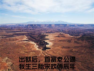 出狱后，首富老公逼我生三胎宋欢傅辰年无广告阅读 新上热文宋欢傅辰年在线免费读