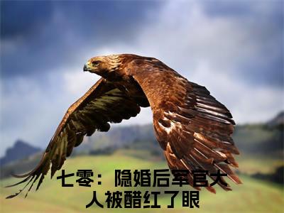 七零：隐婚后军官大人被醋红了眼小说魏昭昭季侑最新章节阅读-最新热点小说七零：隐婚后军官大人被醋红了眼