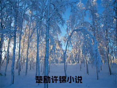 楚励许锦小说无弹窗（楚励许锦）全文免费阅读无弹窗大结局_(楚励许锦）楚励许锦最新章节列表_笔趣阁（楚励许锦）