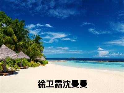 徐卫霖沈曼曼小说（徐卫霖沈曼曼）热推新书_徐卫霖沈曼曼最新章节在线阅读_笔趣阁