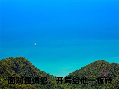 苏墨（面对通缉犯，开局给他一板砖全文在线阅读）-苏墨(面对通缉犯，开局给他一板砖)免费阅读无删减完整版苏墨