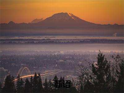 娱乐丞相（苏语全文在线阅读）-娱乐丞相(苏语)免费阅读无删减完整版娱乐丞相