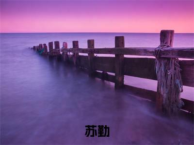 苏勤知乎小说全文免费阅读_（苏勤）建国重工知乎小说最新章节列表笔趣阁