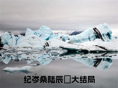 主角是纪岑桑陆辰晞的小说-（纪岑桑陆辰晞）完整章节阅读