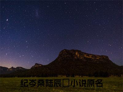 纪岑桑陆辰晞（纪岑桑陆辰晞）全文免费阅读无弹窗大结局_（纪岑桑陆辰晞）免费阅读无弹窗最新章节列表