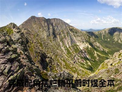 穿成配角摆烂躺平蔚时煜精彩小说（穿成配角摆烂躺平蔚时煜）在哪免费看-小说(穿成配角摆烂躺平蔚时煜)全文完整版免费阅读