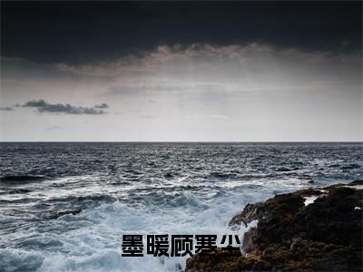 墨暖顾寒尘全文免费阅读_（墨暖顾寒尘免费阅读无弹窗）墨暖顾寒尘最新章节在线阅读