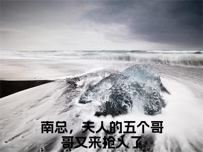 南宫辰洛云汐全文（南总，夫人的五个哥哥又来抢人了）全文免费阅读无弹窗大结局_南总，夫人的五个哥哥又来抢人了全文最新章节列表_笔趣阁（南宫辰洛云汐）