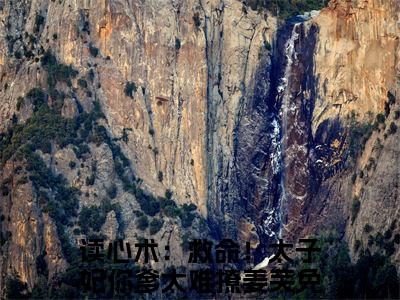 热文（读心术：救命！太子妃你爹太难撩姜芙）美文阅读_热门小说读心术：救命！太子妃你爹太难撩姜芙主人公是（读心术：救命！太子妃你爹太难撩姜芙）最新章节最新章节列表_笔趣阁