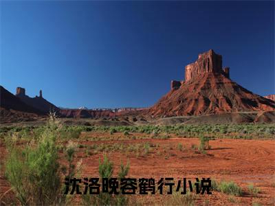 沈洛晚容鹤行小说全文免费阅读无弹窗大结局-沈洛晚容鹤行 小说在哪里可以看