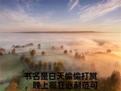 白天偷偷打赏，晚上疯狂返利范可情（白天偷偷打赏，晚上疯狂返利范可情）小说全文无删减-白天偷偷打赏，晚上疯狂返利范可情小说免费阅读大结局