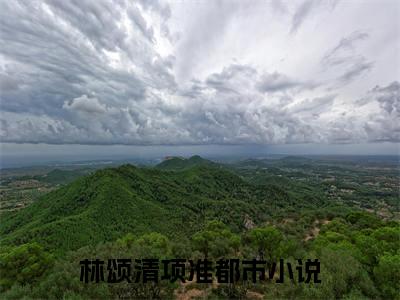 林颂清项准热文结局在线阅读 林颂清项准完整版小说