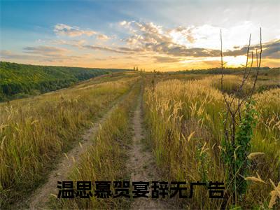 温思慕贺宴辞无弹窗（温思慕贺宴辞）全文免费阅读无弹窗大结局_(温思慕贺宴辞)温思慕贺宴辞最新章节列表_笔趣阁（温思慕贺宴辞）