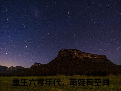 主角为重生六零年代，萌娃有空间的小说精彩阅读-陈默邵锦成最新章节阅读