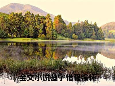全网热搜（楚宁惜程渝怀）是什么小说_楚宁惜程渝怀小说（楚宁惜程渝怀）热门章节阅读无弹窗_笔趣阁