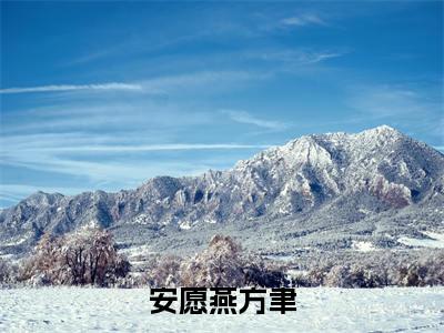 小说方聿安愿燕全文免费阅读无弹窗_（安愿燕方聿完结）方聿安愿燕小说免费阅读无弹窗最新章节列表_笔趣阁