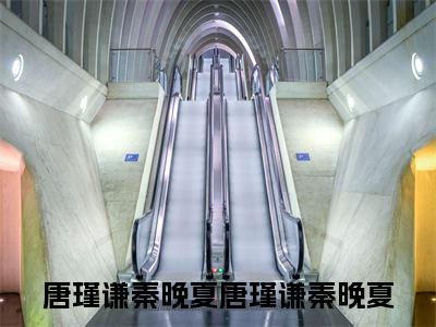 唐瑾谦秦晚夏全文免费阅读大结局_唐瑾谦秦晚夏已完结全集唐瑾谦秦晚夏大结局小说