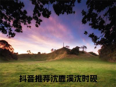 （沈鹿溪沈时砚）全文免费阅读无弹窗大结局_（沈鹿溪沈时砚阅读无弹窗）沈鹿溪沈时砚最新章节列表_笔趣阁（沈鹿溪沈时砚）