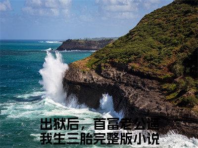 主角宋欢傅辰年小说  出狱后，首富老公逼我生三胎小说全文免费阅读