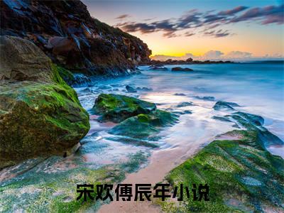 出狱后，首富老公逼我生三胎(宋欢傅辰年后续)全文免费阅读无弹窗大结局_(宋欢傅辰年后续免费阅读全文大结局)最新章节列表_笔趣阁（出狱后，首富老公逼我生三胎）