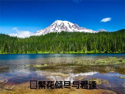 灵汐青宸全集章节小说免费阅读完整版（繁花倾尽与君逢）-繁花倾尽与君逢小说免费阅读