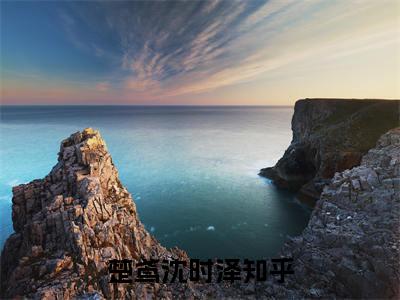楚鸢沈时泽全集小说（楚鸢沈时泽）全文免费阅读无弹窗大结局_楚鸢沈时泽最新章节列表_笔趣阁（楚鸢沈时泽）