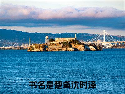 楚鸢沈时泽（楚鸢沈时泽）小说全文免费阅读无弹窗-楚鸢沈时泽小说全文免费阅读最新章节列表笔趣阁