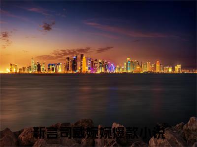 靳言司戴婉婉小说在线阅读-小说（靳言司戴婉婉）免费观看