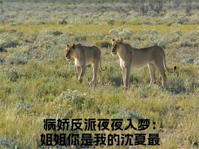 主角是病娇反派夜夜入梦：姐姐你是我的沈夏的小说-《病娇反派夜夜入梦：姐姐你是我的沈夏》完整章节阅读