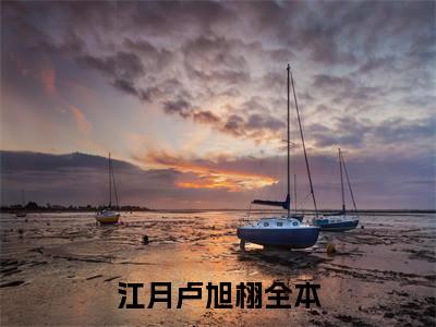 江月卢旭栩(愿你温柔藉余生)小说全文免费阅读无弹窗大结局_（愿你温柔藉余生）江月卢旭栩最新章节列表（愿你温柔藉余生）