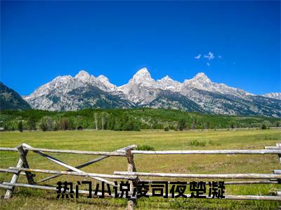 （凌司夜楚凝）全文免费阅读无弹窗大结局_（凌司夜楚凝全文免费）凌司夜楚凝小说最新章节列表_笔趣阁（凌司夜楚凝）