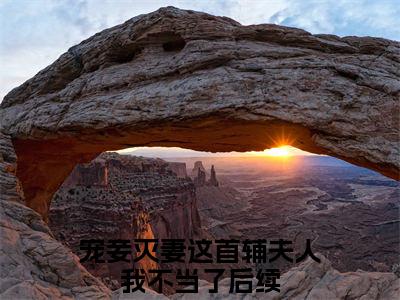 青玉云奕霄（宠妾灭妻这首辅夫人我不当了）全文无弹窗大结局_青玉云奕霄小说最新章节列表