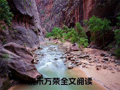 沈禾方荣小说（沈禾方荣）小说全文无删减版在线阅读_沈禾方荣小说最新章节列表