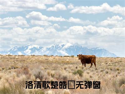洛清歌楚皓玹（洛清歌楚皓玹）全文免费阅读无弹窗大结局_洛清歌楚皓玹全文免费阅读（洛清歌楚皓玹）最新章节列表_笔趣阁（洛清歌楚皓玹）