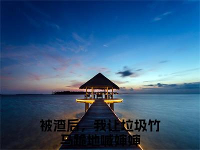 黎洛（被渣后，我让垃圾竹马跪地喊婶婶）新上热文小说讲的是什么-小说黎洛（被渣后，我让垃圾竹马跪地喊婶婶）全文免费阅读