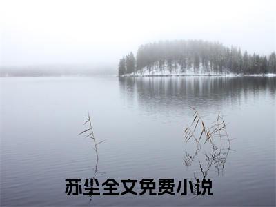 苏尘（混沌武帝）苏尘笔趣阁免费小说_苏尘笔趣阁全文阅读