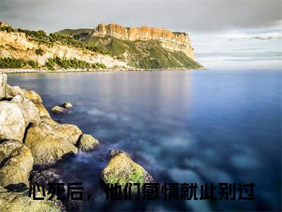 唐婉言戴松南小说免费阅读 心死后，他们感情就此别过免费阅读无弹窗小说