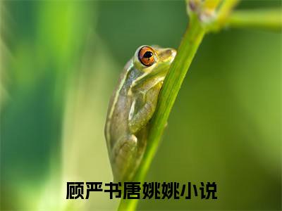 顾严书唐姚姚（顾严书唐姚姚）全文免费阅读_顾严书唐姚姚最新章节列表_笔趣阁