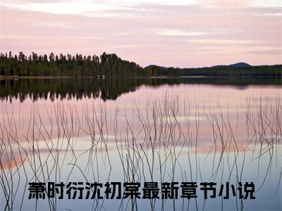 萧时衍沈初棠小说已完结（萧时衍沈初棠）全文免费阅读无弹窗大结局_萧时衍沈初棠最新章节列表（萧时衍沈初棠）