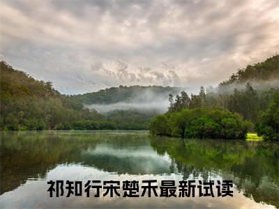 祁知行宋楚禾小说（祁知行宋楚禾）全文免费阅读无弹窗_祁知行宋楚禾全文免费阅读无弹窗最新章节列表