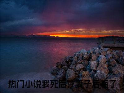 白落冉林修宇全文免费无弹窗大结局_ 我死后，妻子后悔了免费白落冉林修宇最新章节列表_笔趣阁