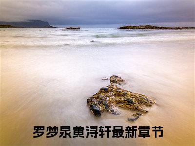 罗梦泉黄浔轩新书热荐免费小说全文完整版-小说精选片段阅读