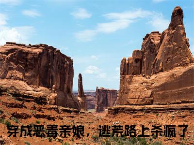穿成恶毒亲娘，逃荒路上杀疯了苏十一小说全文无广告阅读-穿成恶毒亲娘，逃荒路上杀疯了小说赏析苏十一