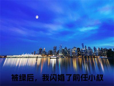 被绿后，我闪婚了前任小叔抖音新书热荐 -盛澜聿沈吟全文在线赏析（被绿后，我闪婚了前任小叔）