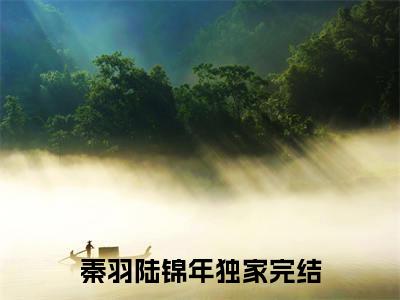 男女主人公叫秦羽陆锦年的小说秦羽陆锦年免费在线