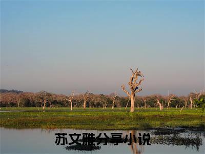 老祖宗围观我刷视频，棺材板飞了全集小说（苏文雅）全文免费阅读无弹窗大结局_老祖宗围观我刷视频，棺材板飞了最新章节列表_笔趣阁（苏文雅）