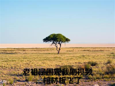 老祖宗围观我刷视频，棺材板飞了（苏文雅）在线阅读的小说完整版-苏文雅（老祖宗围观我刷视频，棺材板飞了）小说免费阅读