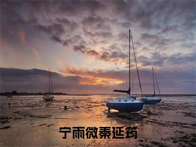 宁雨微秦延筠小说（宁雨微秦延筠）全文免费阅读无弹窗大结局_宁雨微秦延筠最新章节在线阅读_笔趣阁