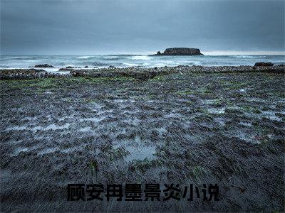 墨景炎顾安冉全文免费阅读无弹窗大结局_（顾安冉墨景炎）墨景炎顾安冉免费阅读无弹窗最新章节列表_笔趣阁