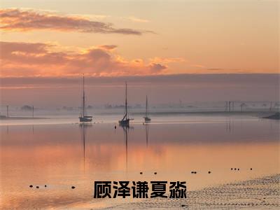 无爱此生（顾泽谦夏淼）全文免费阅读无弹窗大结局_（顾泽谦夏淼无弹窗）_笔趣阁